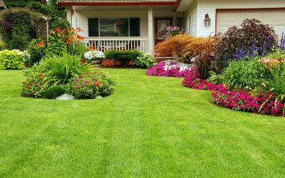 Making the Most of Your Space with Backyard Landscaping in Plymouth, MN