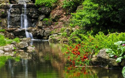 Sustainable Beauty: Why Landscape Stone in Houston is the Top Choice