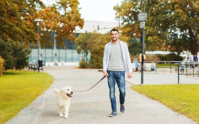 Maximize Your Dog’s Well-Being With A New York Dog Walker